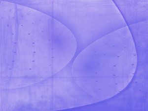 高考复读与专升本哪个更划算